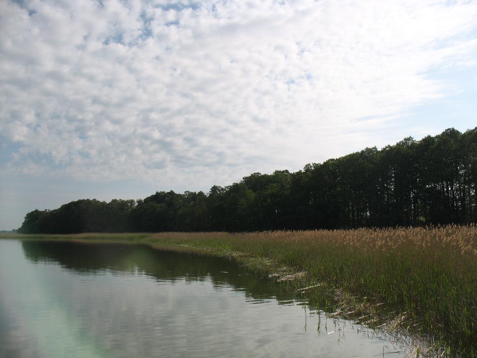 clouds, cane, water...