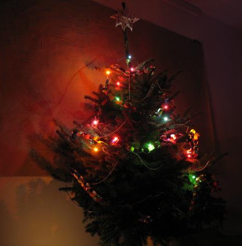 christmas tree