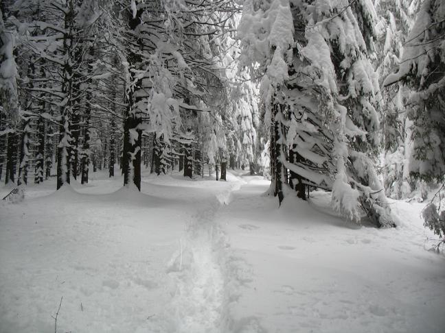 snow passage