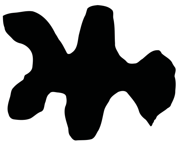 random input shape